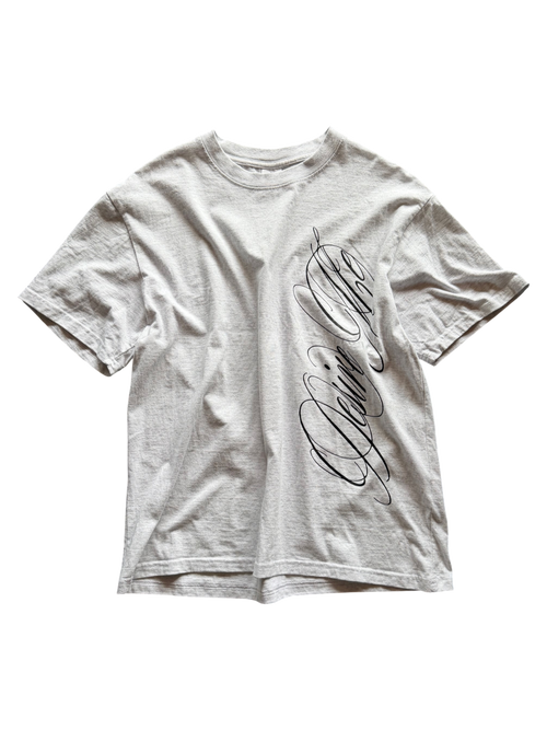 Vicious DESIRE grey heavy cotton t-shirt with a large black cursive script print in a relaxed fit