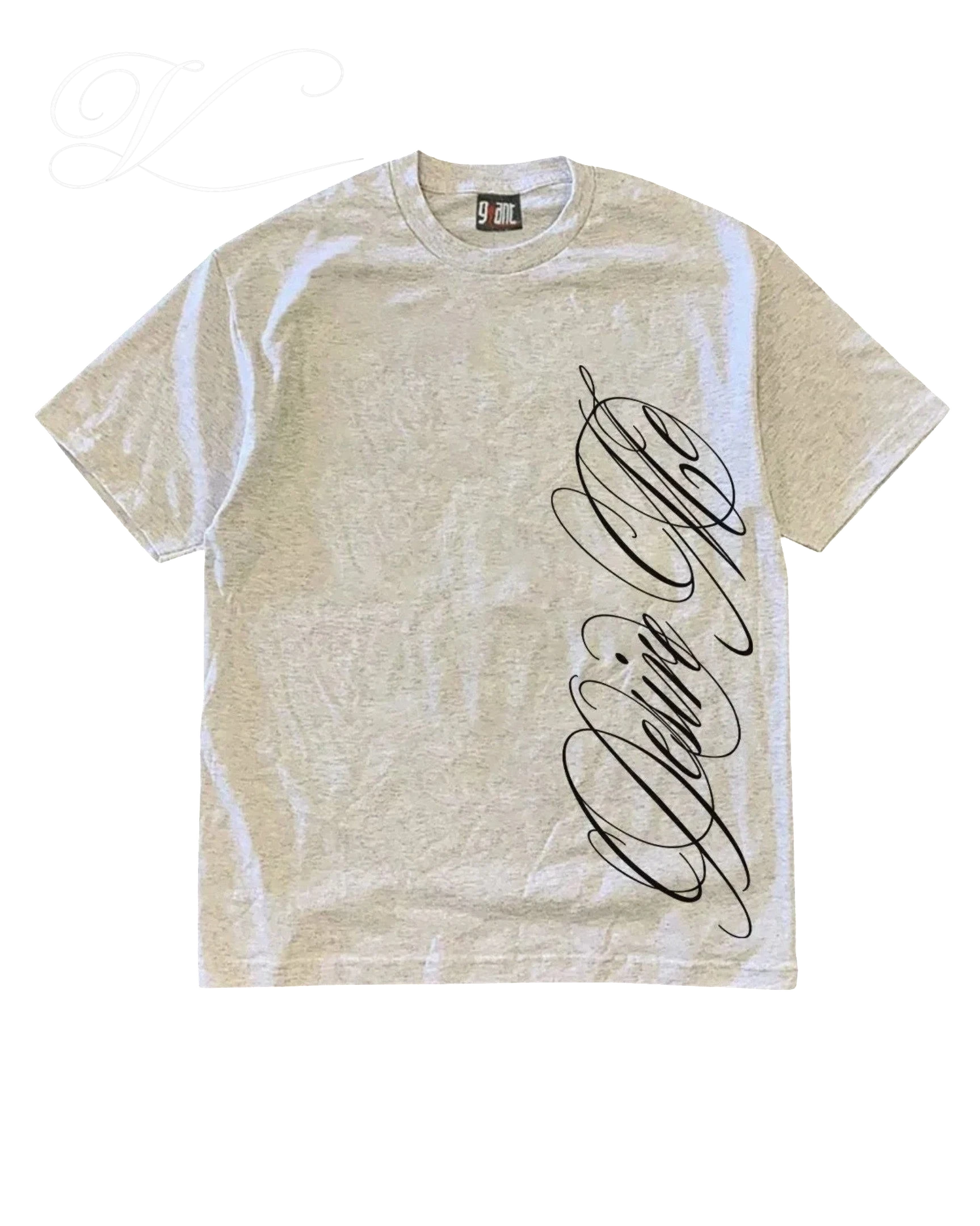 Vicious Desire Me heavy cotton t-shirt in grey marl with a vertical black cursive script print on the front.