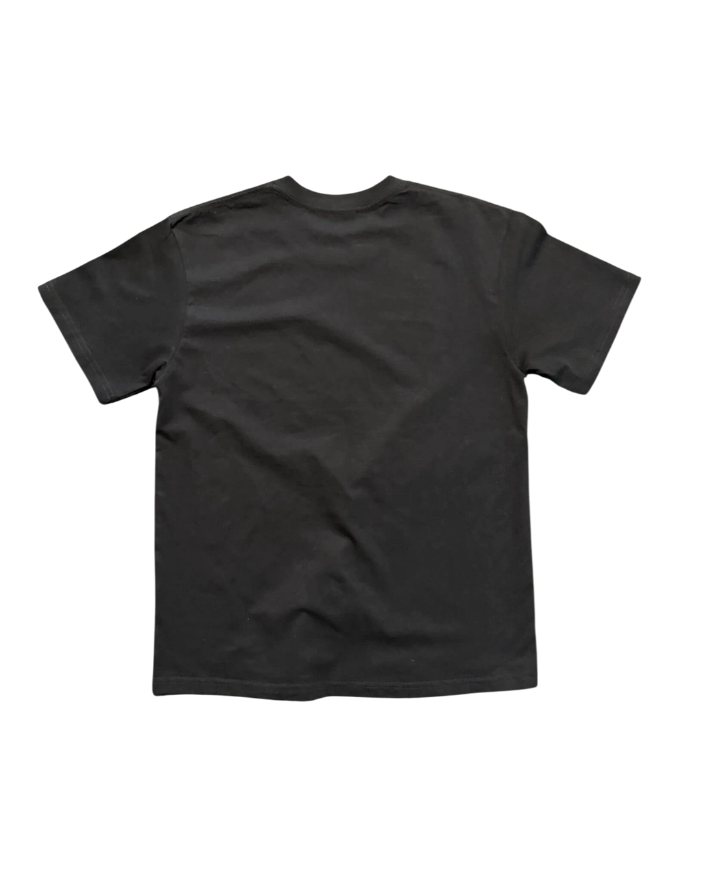Vicious Desire Me Tee in black heavy cotton with a classic crew neck and short sleeves, back view.