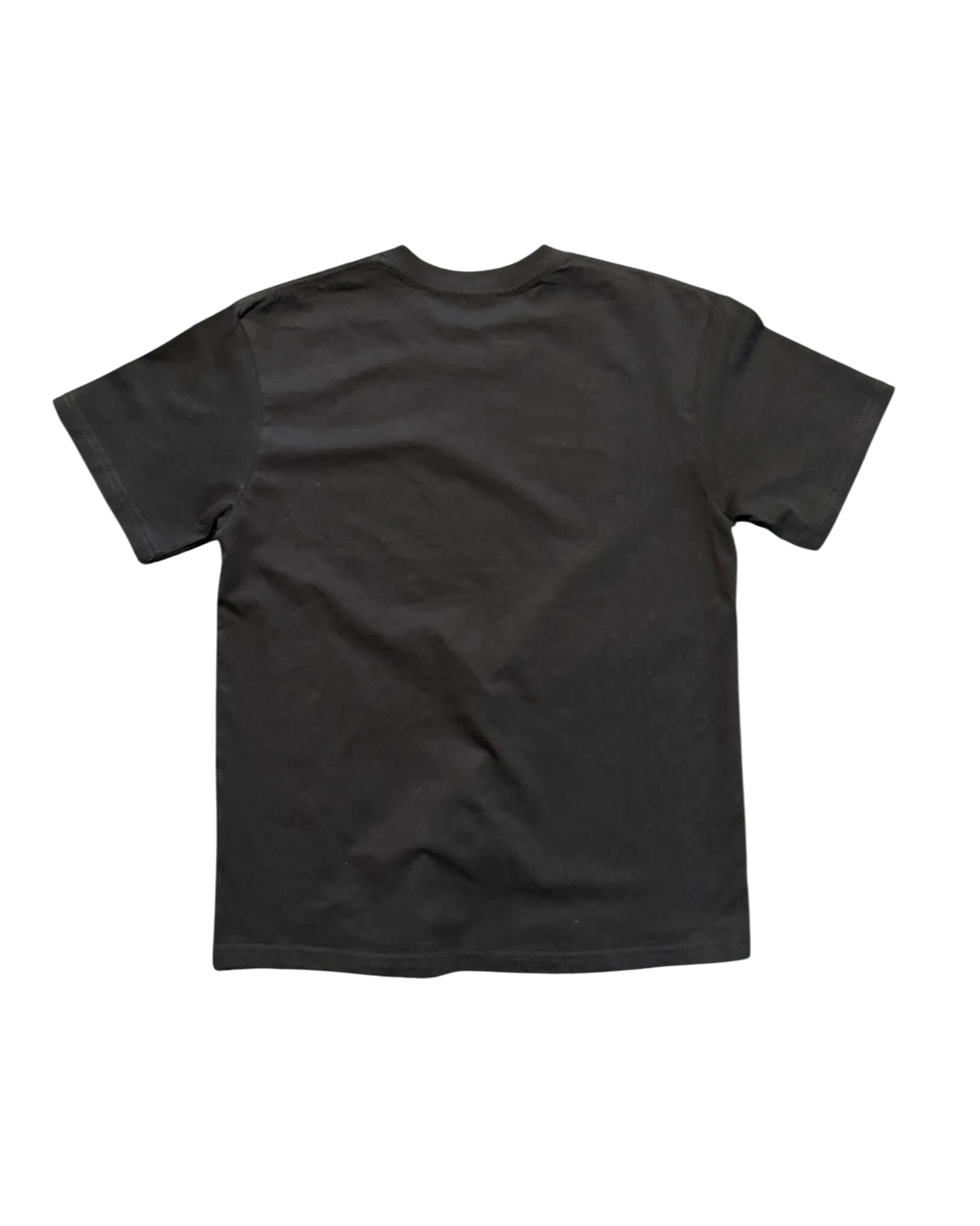 Vicious Desire Me Tee in black heavy cotton with a classic crew neck and short sleeves, back view.