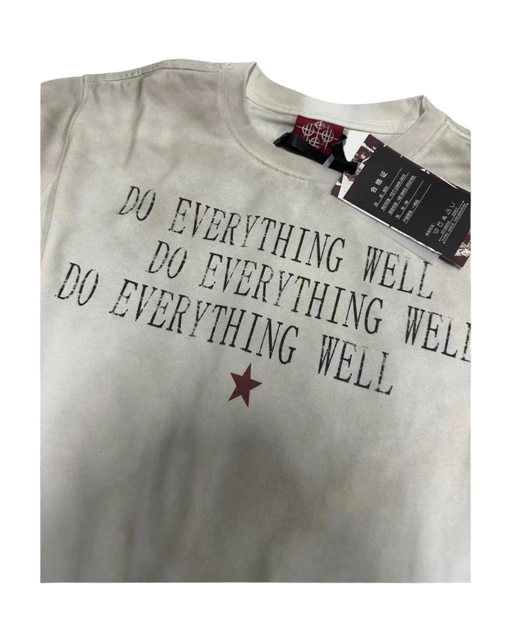 Vicious Directive Longsleeve in Beige mit Do Everything Well Print und rotem Stern auf der Vorderseite