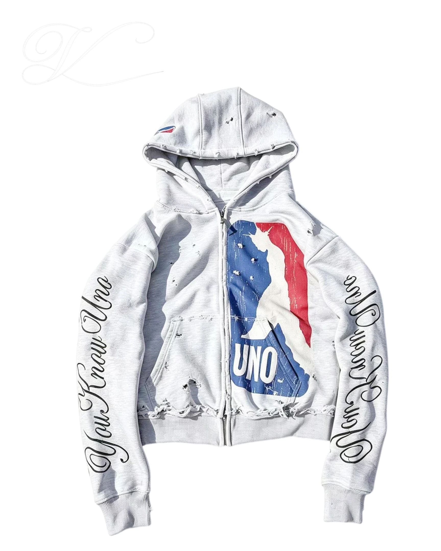 Vicious grey distressed zip-up hoodie with vintage NBA-inspired graphic, embroidered text on sleeves, and frayed details
