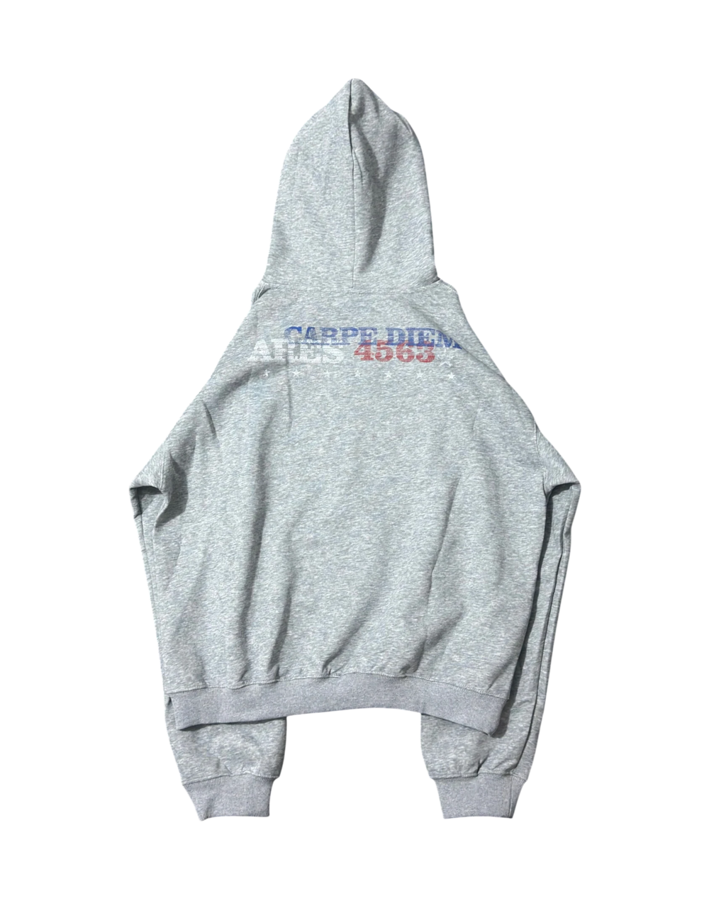 Vicious grey heavyweight hooded sweatshirt with Carpe Diem letter print on the back in American street style