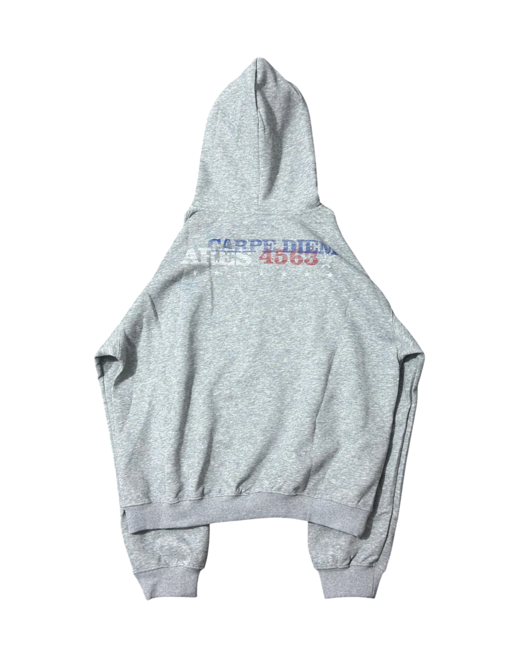 Vicious grey heavyweight hooded sweatshirt with Carpe Diem letter print on the back in American street style