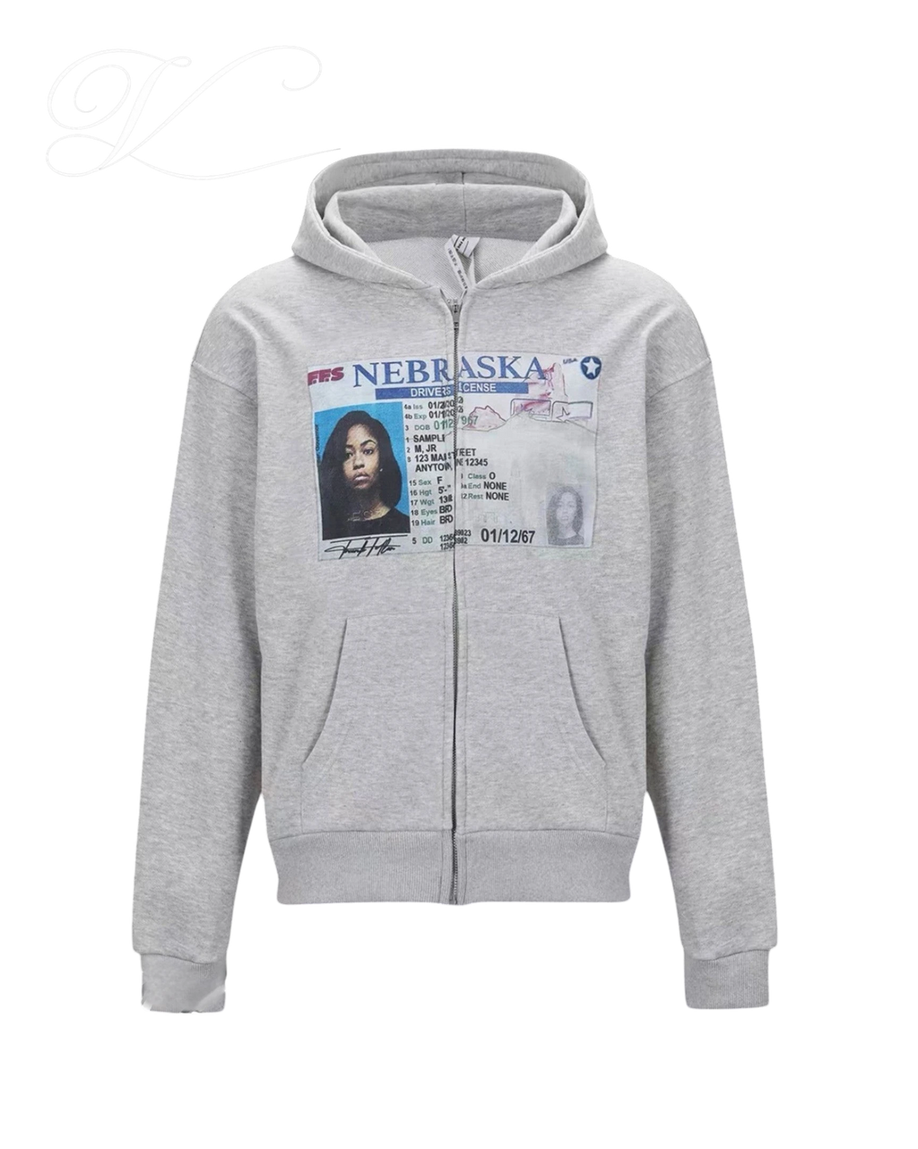 Vicious License Hoodie aus grauer Heavy Cotton mit Führerschein-Grafikprint und Kapuze im Cropped Fit