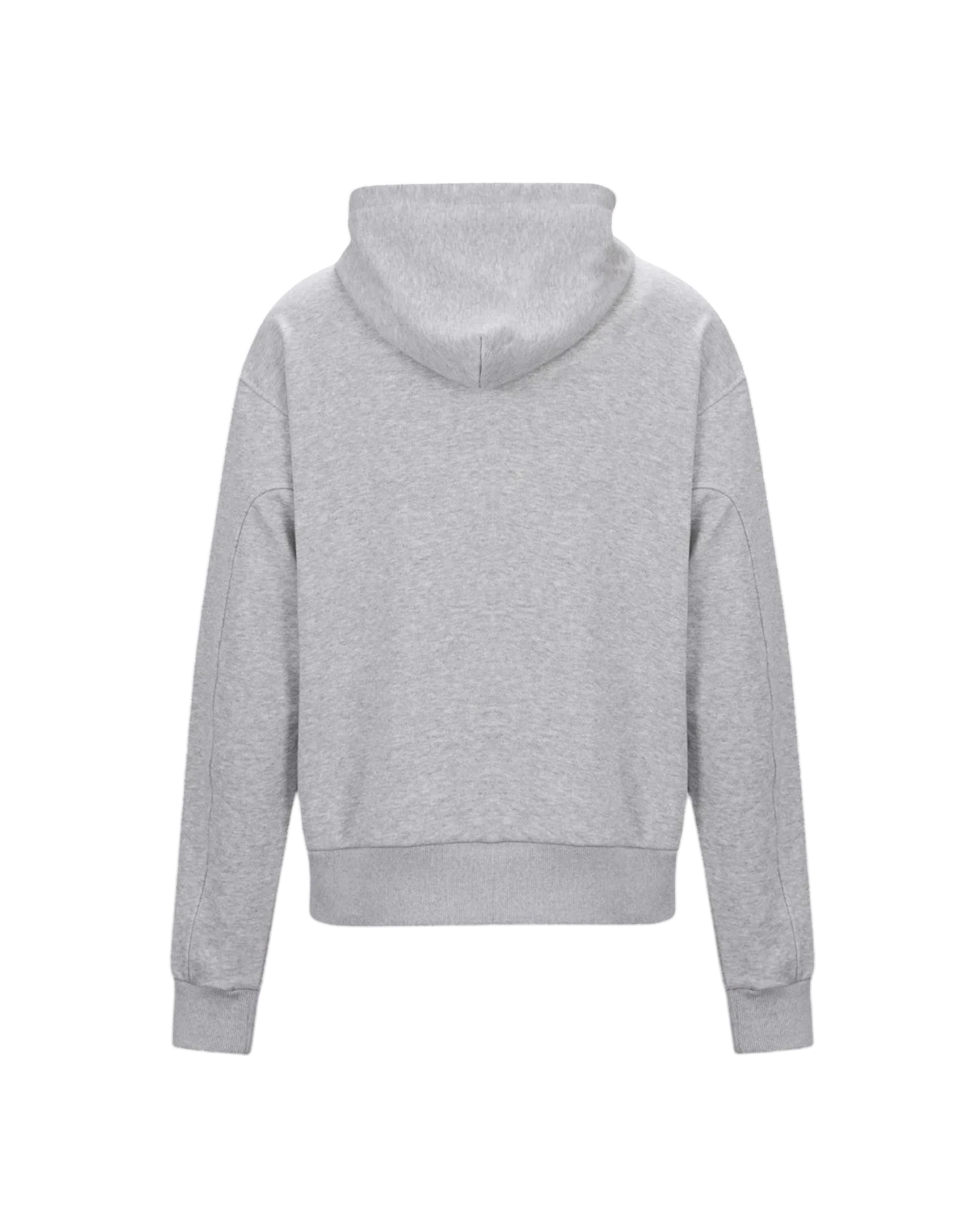 Vicious License Hoodie in Grau aus schwerer Baumwolle mit Kapuze und kurzem Schnitt, Rückansicht